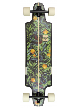 Dusters Harvest Green / Orange Complete Longboard 36"