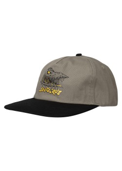 Santa Cruz Braun Fever Dream Cap - Stone Grey / Black