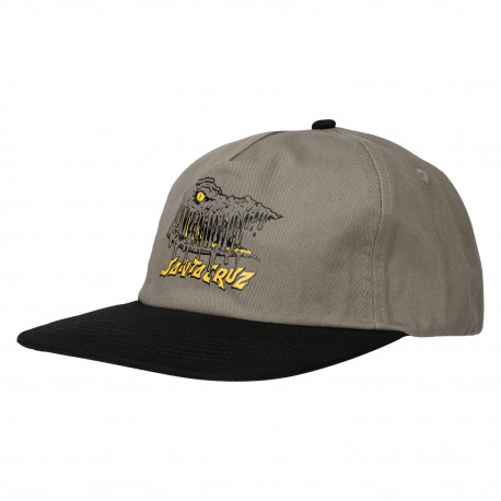 Santa Cruz Braun Fever Dream Cap - Stone Grey / Black