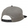 Santa Cruz Braun Fever Dream Cap - Stone Grey / Black