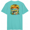 SANTA CRUZ Wincowski 8Baller Trip - Pool Blue
